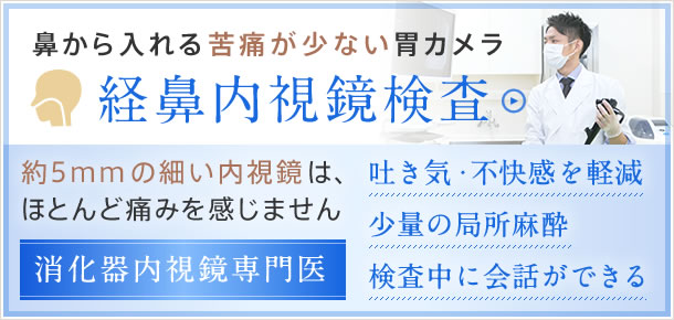 経鼻内視鏡検査